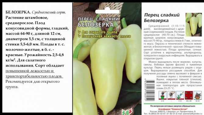 Перец сладкий белое золото: характеристика и описание сорта, фото и видео, урожайность, отзывы о семенах сибирский сад