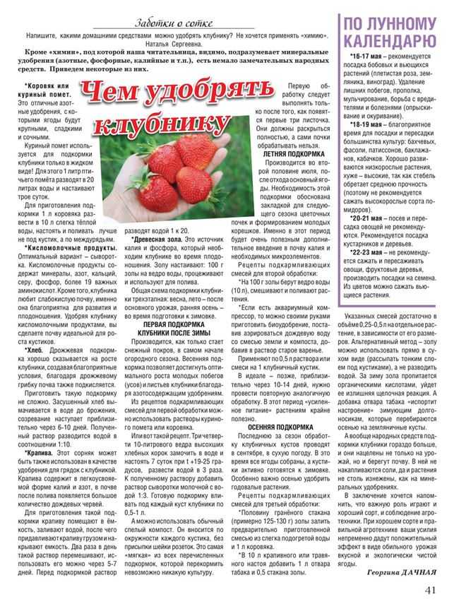 Чем подкормить помидоры во время цветения плюс полезный совет по опылению — agroxxi
