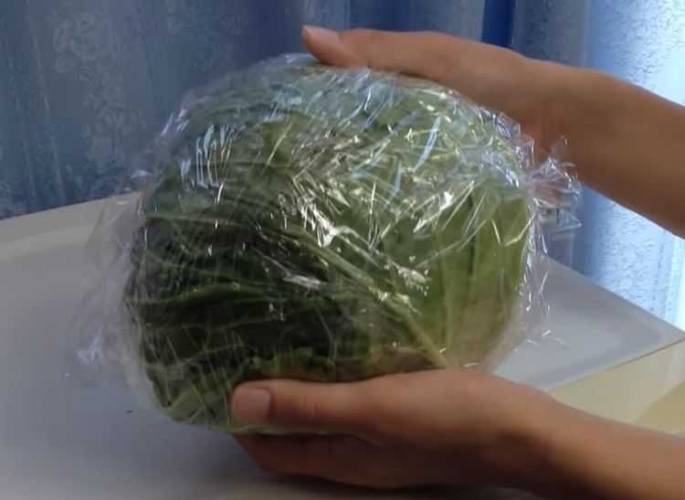 Можно ли и как заморозить капусту белокочанную на зиму в морозилке? русский фермер