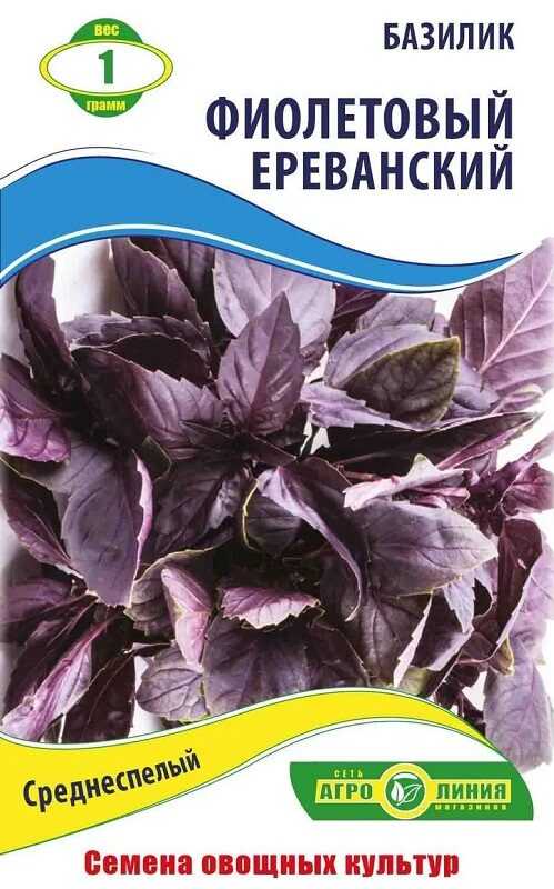 Сиреневые розы сорта - pocketflowers.ru