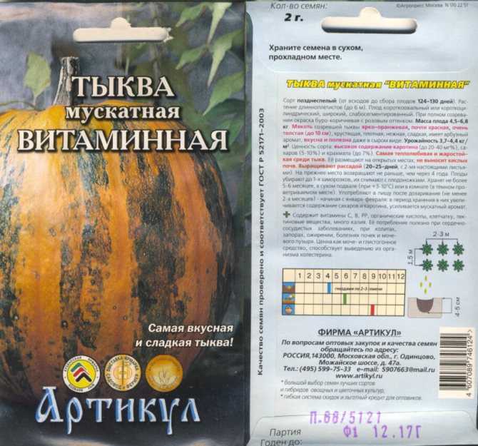Тыква витаминная (витаминка): характеристика и описание мускатного сорта, фото полученного урожая