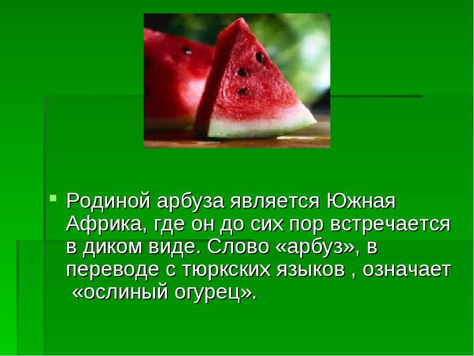 Дыня это фрукт, ягода или овощ — полезные свойства и калорийность плода