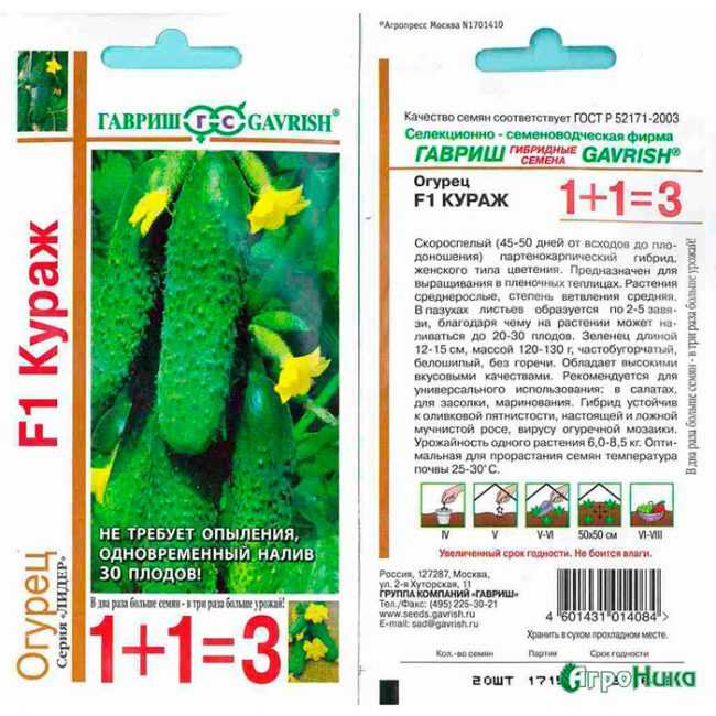 Огурцы гуннар f1: описание и технология выращивания