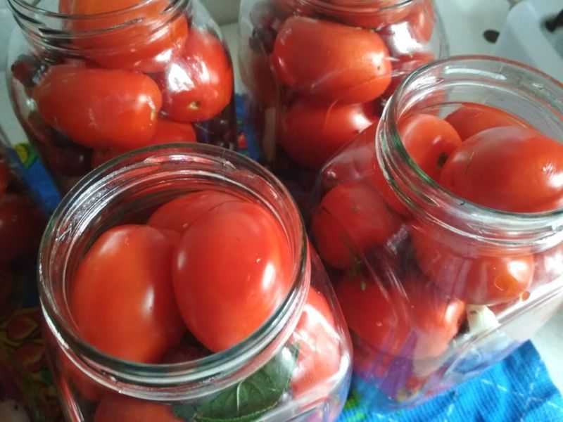 Как надолго сохранить свежие помидоры