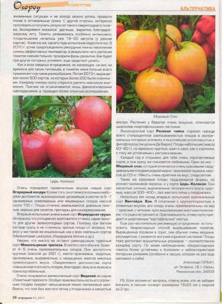 Томат царь колокол: характеристика и описание сорта, урожайность с фото