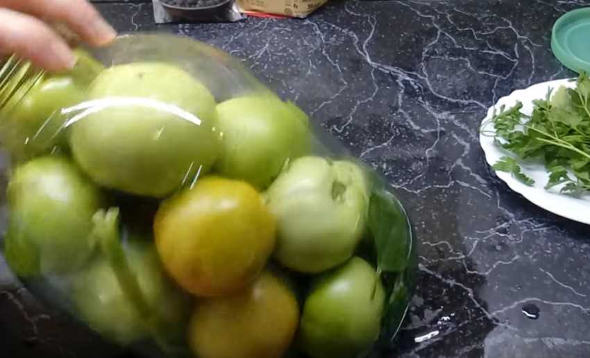 Маринованные в ведре зеленые помидоры