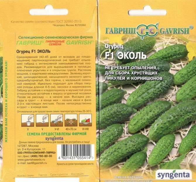 Огурец аякс f1 – отличный выбор для огородников юга россии