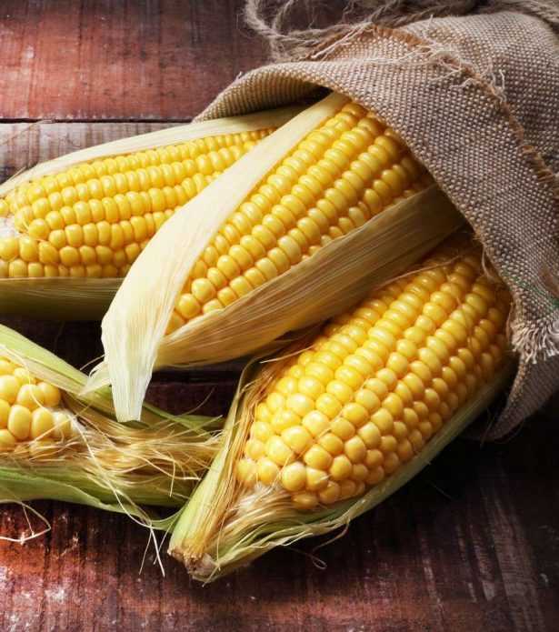 Молодая вареная кукуруза: польза и вред, химический состав, бжу