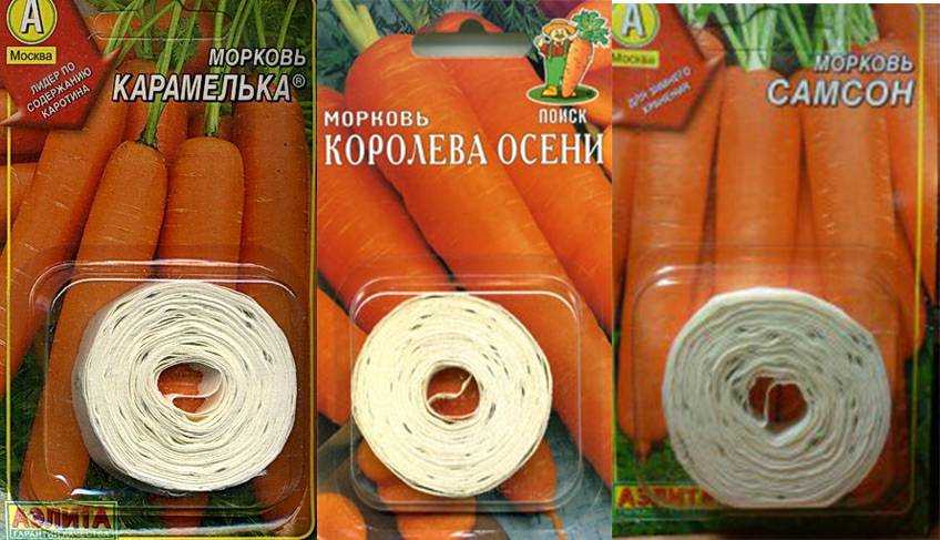 Как клеить морковь на бумагу