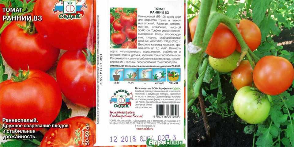 Томат "благовест" f1: описание и характеристики сорта, фото помидор русский фермер