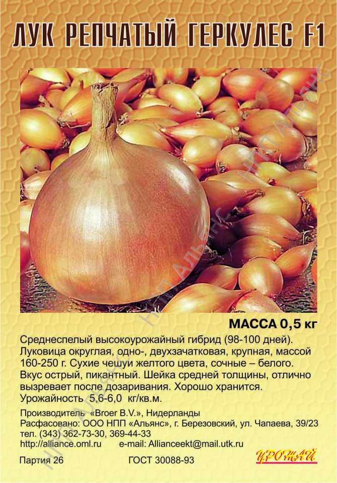 Лучшие сорта лука для подмосковья открытый грунт / выращивание луковиц и пера в московском регионе