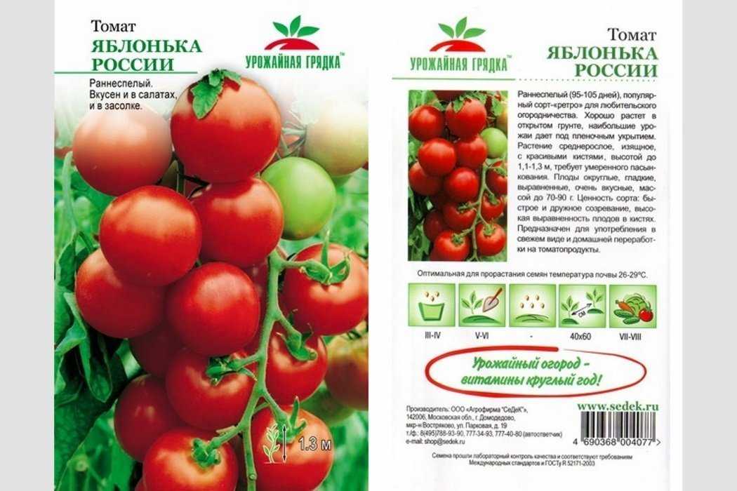 Томат яблонька россии: отзывы, фото, урожайность, описание и характеристика | tomatland.ru