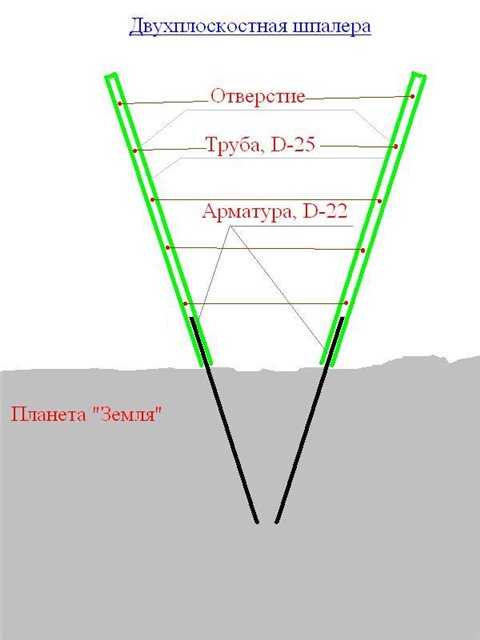 Шпалера для винограда размеры чертеж