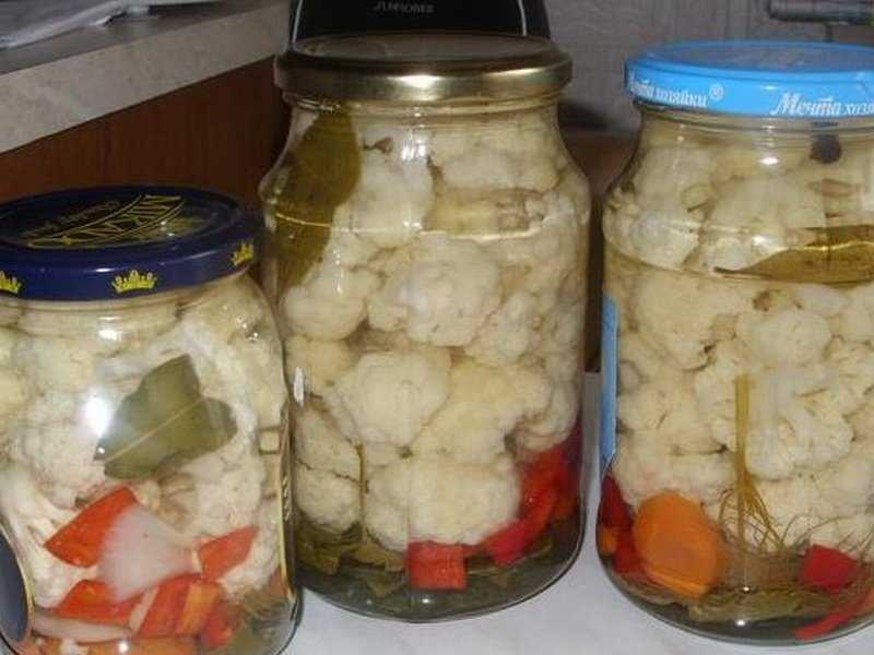Квашеная капуста на зиму - 10 рецептов хрустящей и сочной капусты с пошаговыми фото