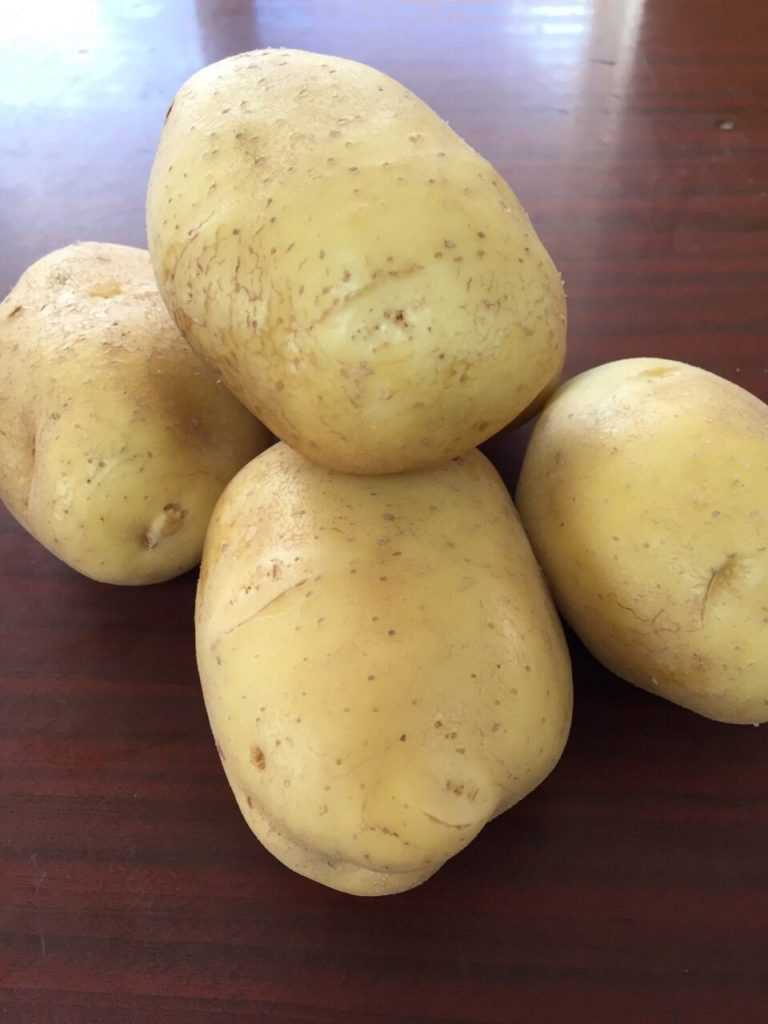Сорт картофеля бриз: подробное описание и характеристика, особенности выращивания, советы по посеву, уходу и сбору урожая, а также фото