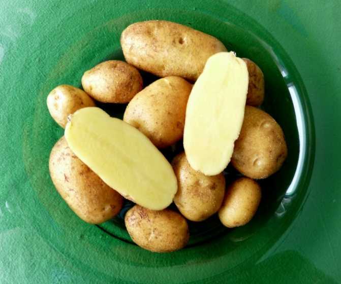 Что делать, если клубни картофеля при варке становятся рассыпчатыми, и почему так происходит
