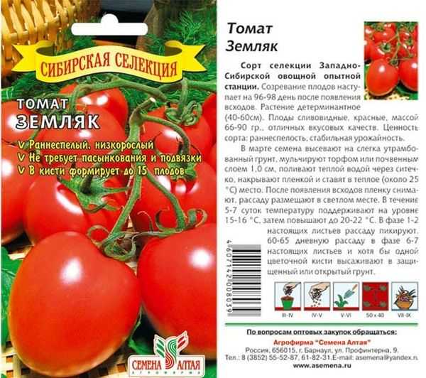 Характеристика и описание сорта томатов «чудо земли»: преимущества и недостатки, особенности выращивания, отзывы огородников