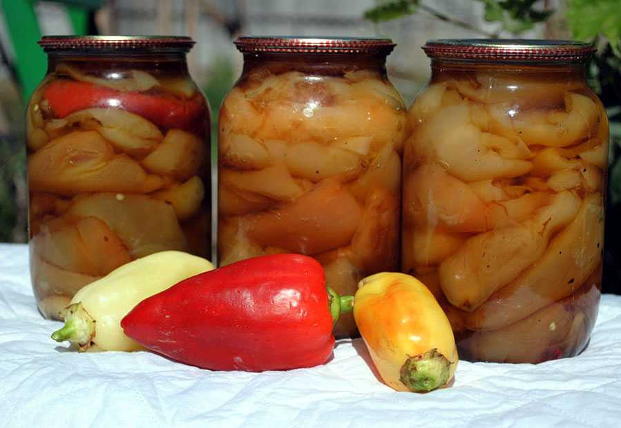 Засолка болгарского перца: способы засолки, лучшие рецепты с пошаговым приготовлением, фото, видео