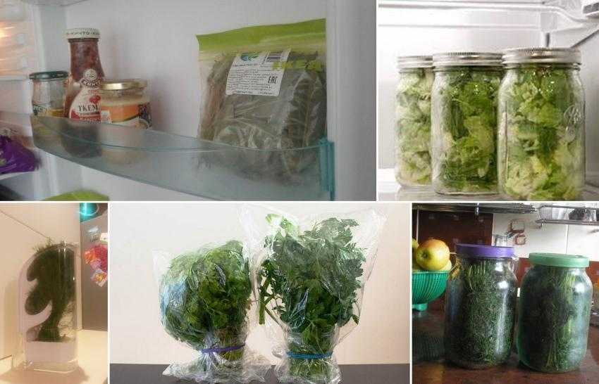 Как сохранить зелень, чтобы оставалась долго свежей в холодильнике