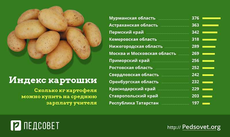 В каких продуктах есть картофель. Картофель, 1 кг. 1 Кг картошки это сколько штук. Картофель вес. Вес средней картошки.