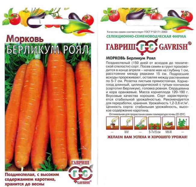 Крупноплодная морковь «красный великан» («роте ризен»)