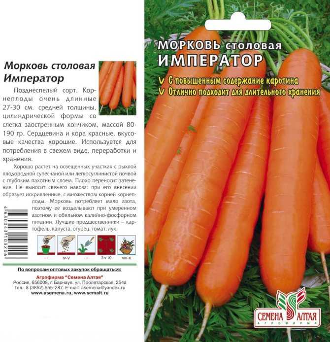 Описание характеристик и обзор лучших сортов моркови, урожайность
