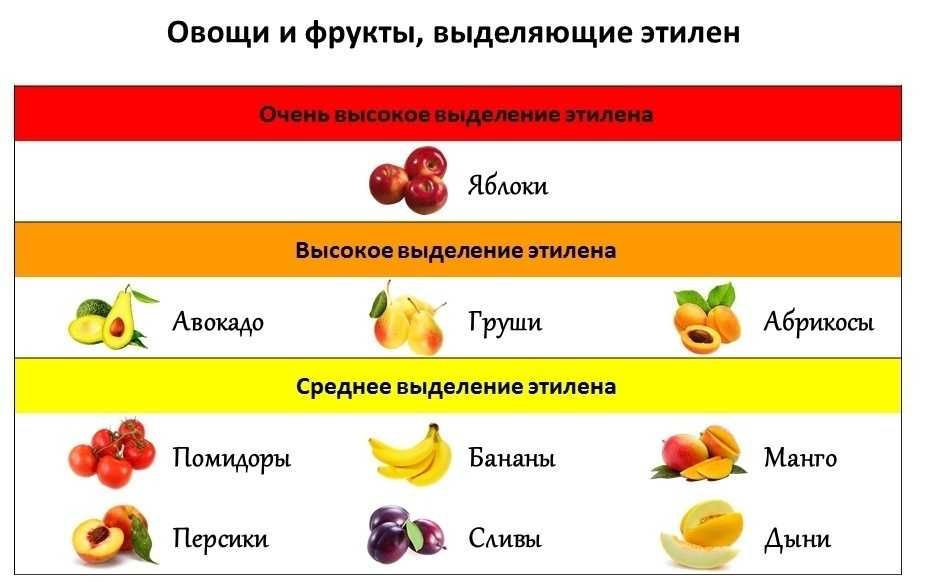 Как помочь фруктам дозреть в домашних условиях | super.ua