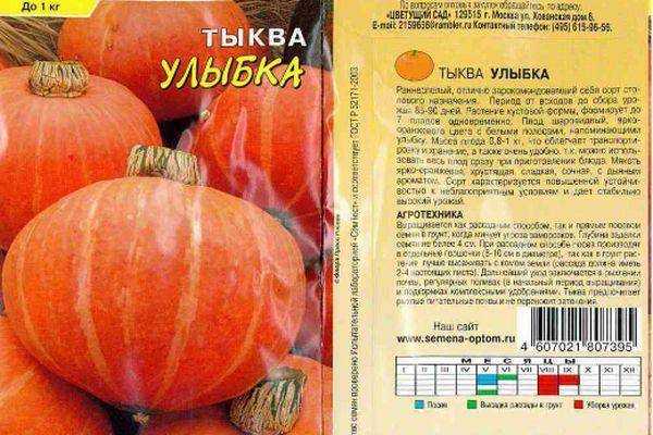 Тыква «россиянка»: описание сорта, особенности выращивания и ухода