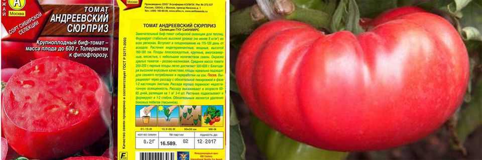 Томат андреевский сюрприз: характеристика и описание сорта, отзывы тех кто сажал помидоры, фото и видео урожайности
