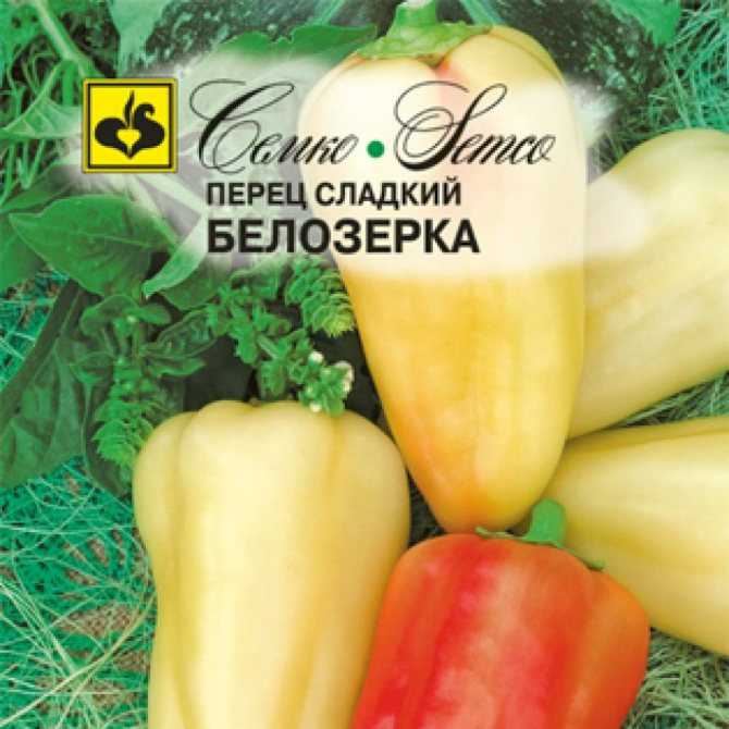 Перец белозёрка: характеристика и описание сорта, фото, урожайность, выращивание