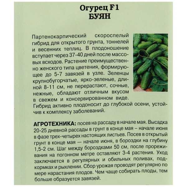 Фото, видео, описание, посадка, характеристика, урожайность, отзывы о гибриде огурцов «буян f1».
