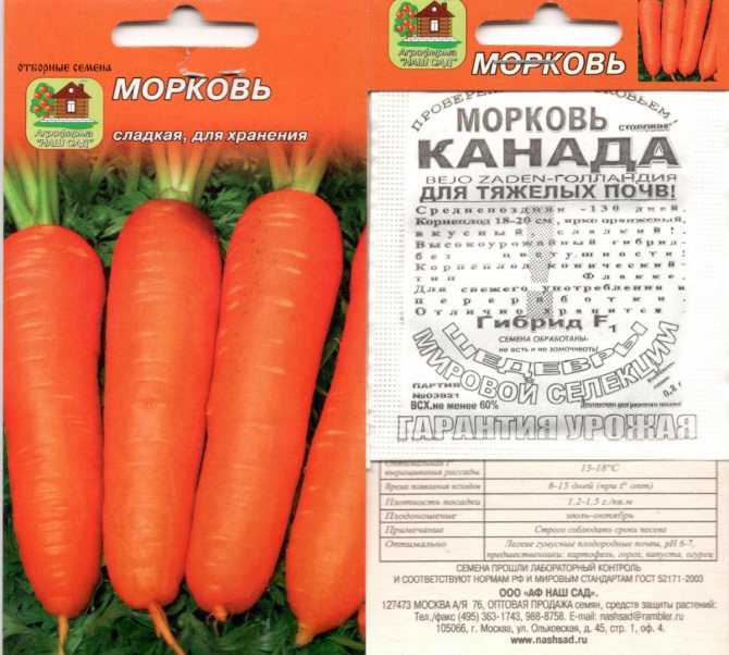 Морковь дордонь f1: описание, отзывы, урожайность