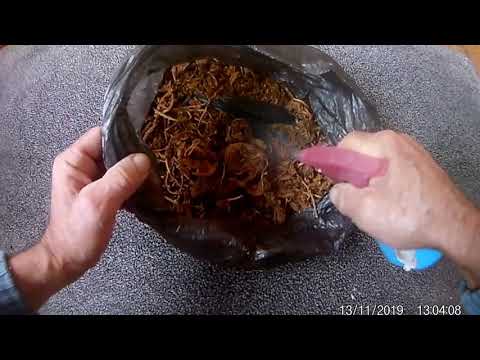 Ферментация табака в домашних условиях в микроволновке :: syl.ru