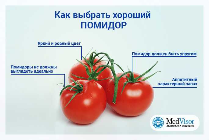Как должны выглядеть помидоры. Как выбрать помидоры. Как правильно выбрать помидоры. Как выбрать хорошие помидоры. Как выбрать томат.