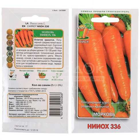 Морковь сорта нииох 336: характеристика и описание сорта, особенности ухода и выращивания, фото