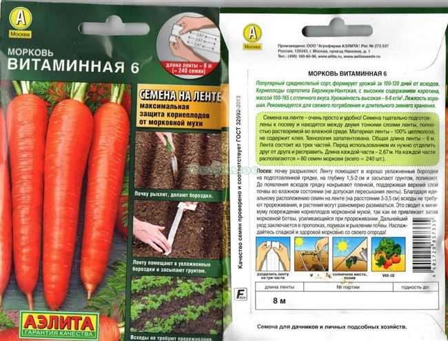 Морковь витаминная 6: полная характеристика и описание сорта, история селекционирования и выращивание, а также достоинства и недостатки, сбор и хранение урожая