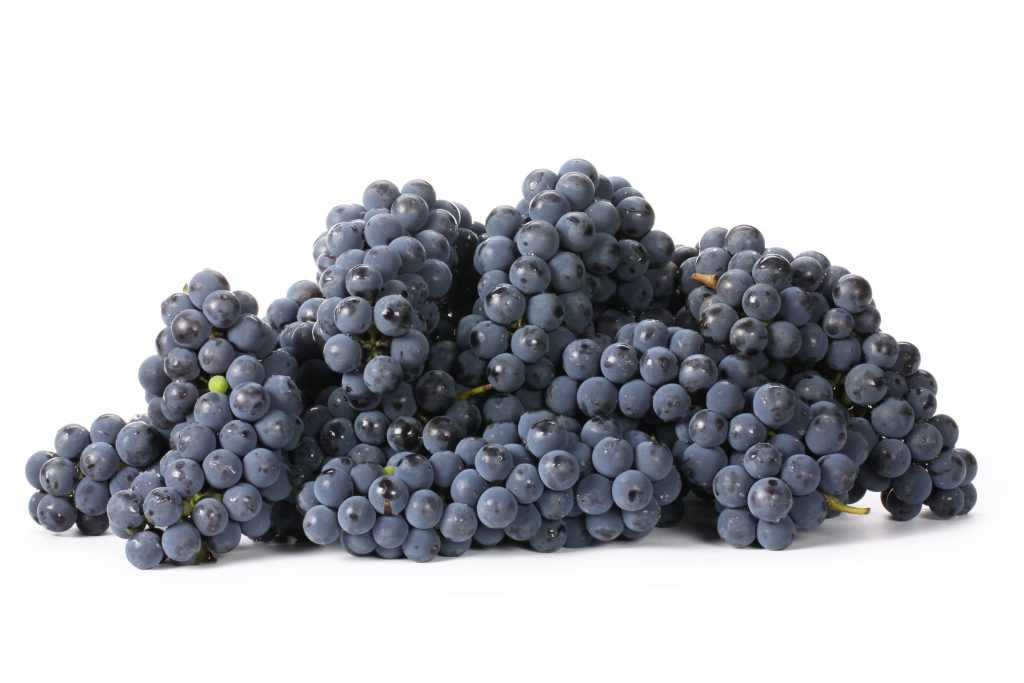 Сколько калорий и бжу в черном винограде на 100 грамм?