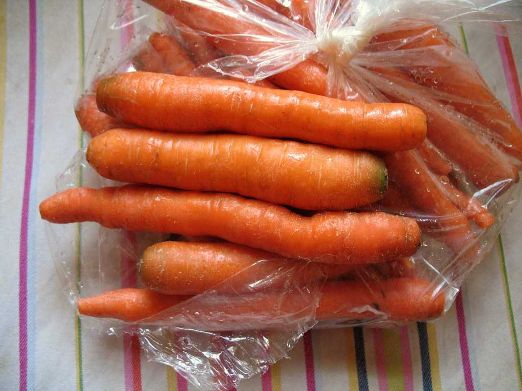 Хранение моркови в пакетах на зиму: в подполе, в погребе в полиэтиленовых и целлофановых пакетах, как правильно хранить мешках