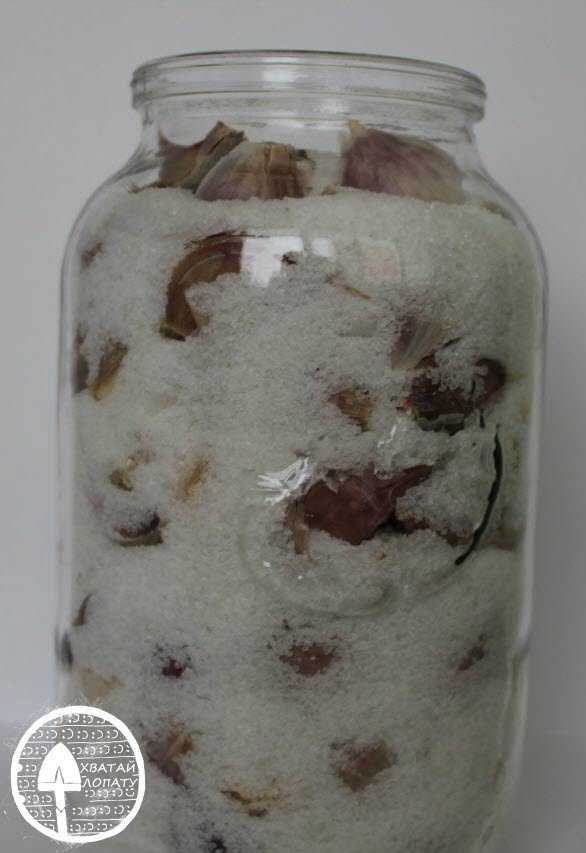 Хранение чеснока в стеклянных банках: как хранить с солью, мукой, растительным маслом и другими способами