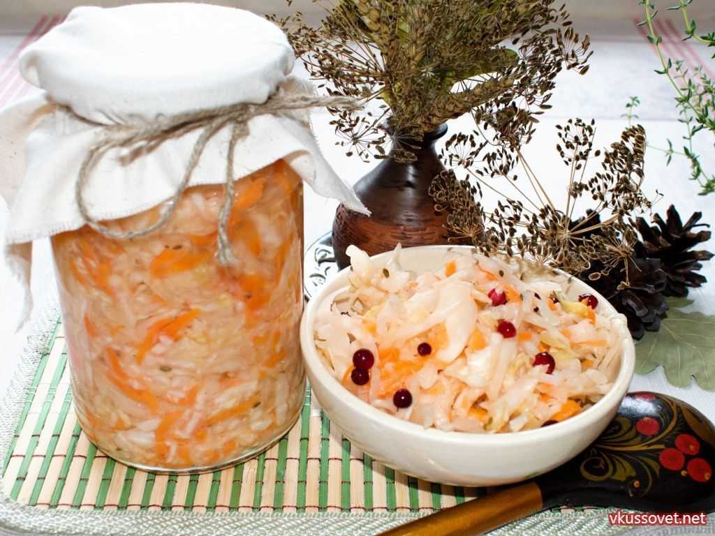Квашеная капуста быстрого приготовления: 5 рецептов хрустящей и сочной капусты