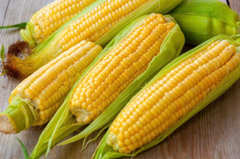 Кукуруза: полезные свойства и противопоказания для женщин и мужчин