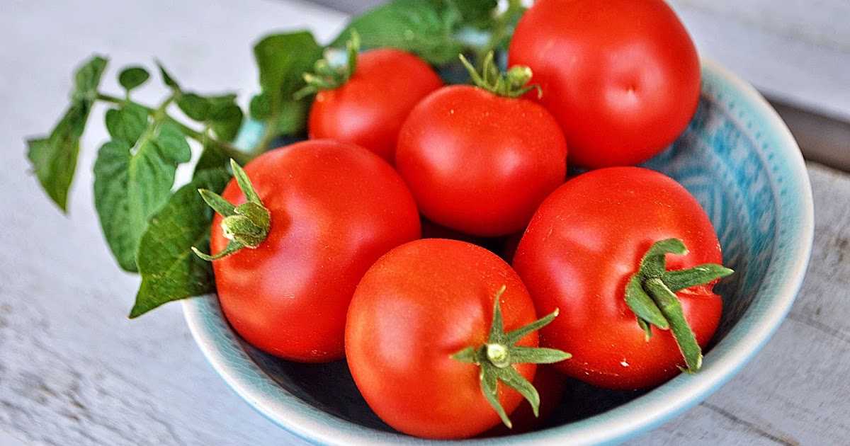 Простой в уходе сорт с высоким урожаем — томат бабушкино лукошко: полное описание помидора