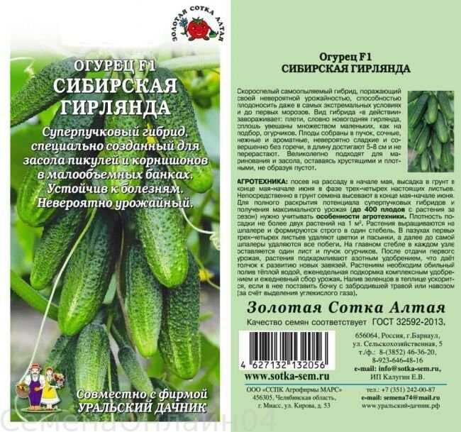 Огурцы "сибирская гирлянда f1": описание сорта, отзывы, фото