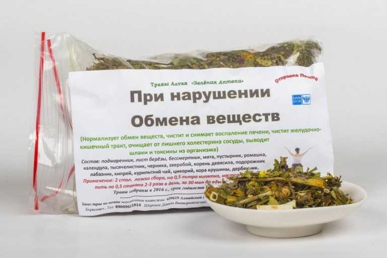 Чем хороша спаржа для похудения и как её правильно есть при борьбе с лишним весом