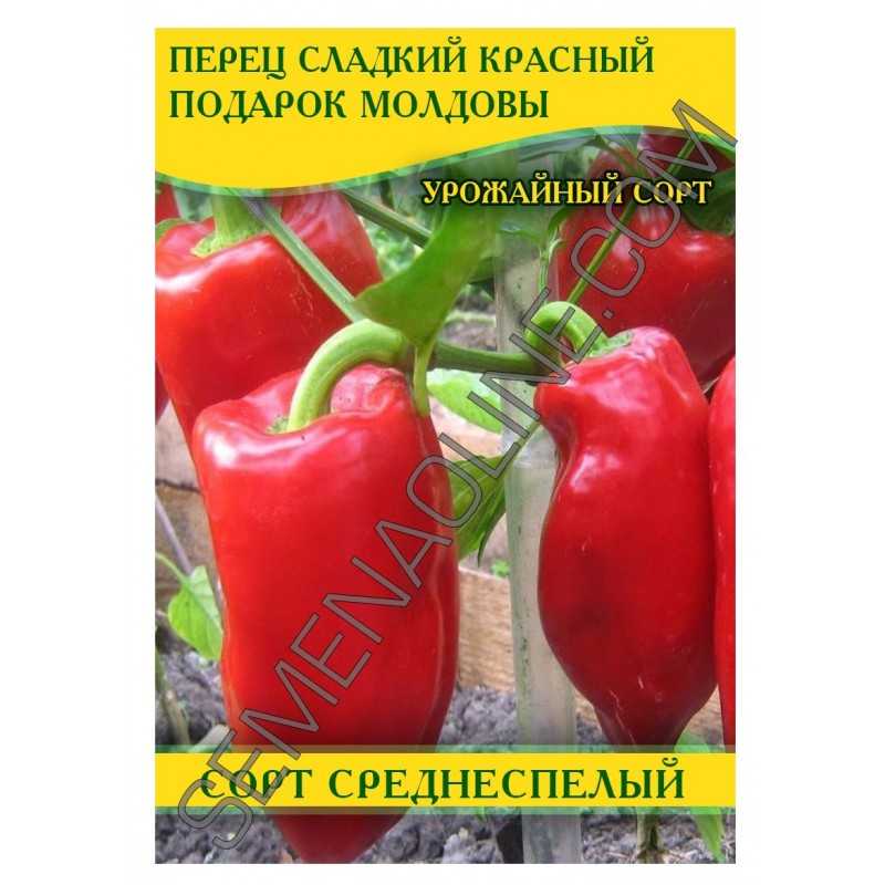 Перец «подарок молдовы» отзывы, фото, посадка и уход, урожайность
