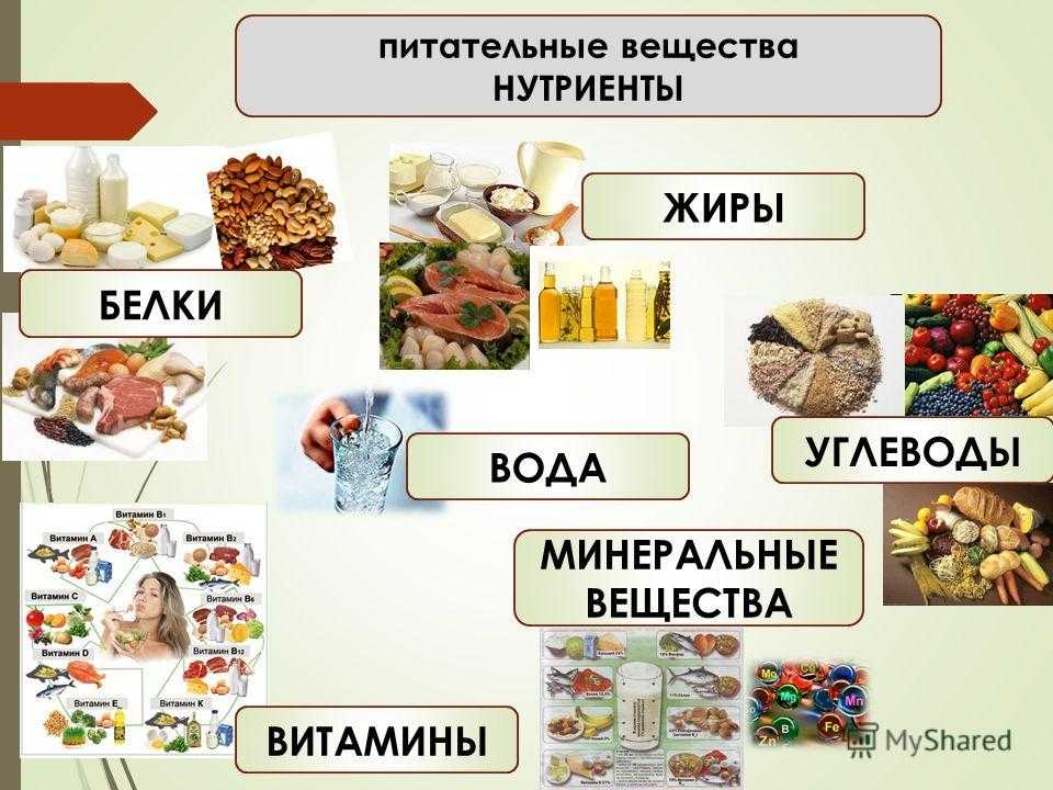 Какие витамины содержатся в арбузе и дыне: таблица