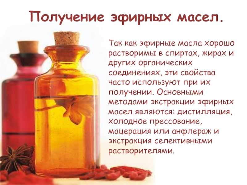 Эфирное масло базилика: лечебные свойства, применение