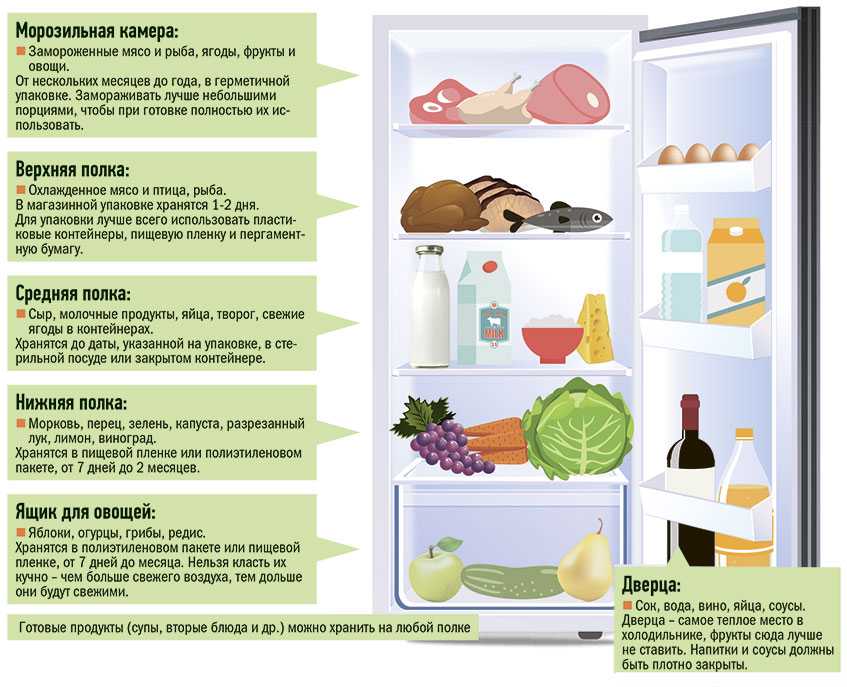Полезные советы, как необходимо хранить цветную капусту в холодильнике