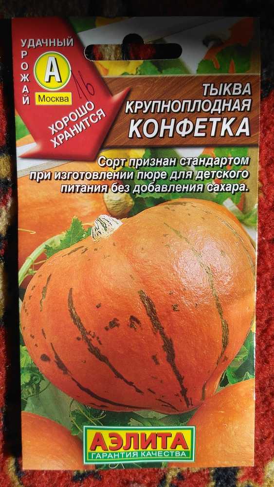 Тыква конфетка (карамелька): описание сорта, его преимущества и недостатки, отзывы тех, кто его выращивал и фото полученного урожая