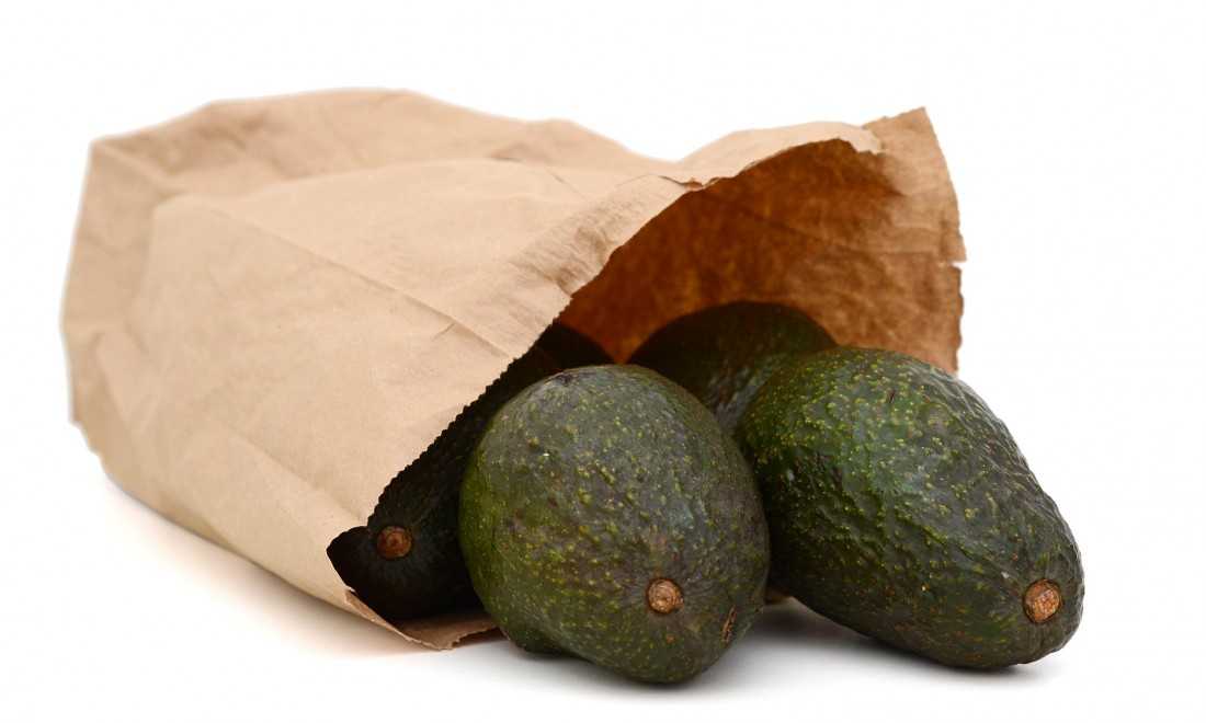В чем и как хранить авокадо: целое, после разрезания, чтобы дозрело и не испортилось